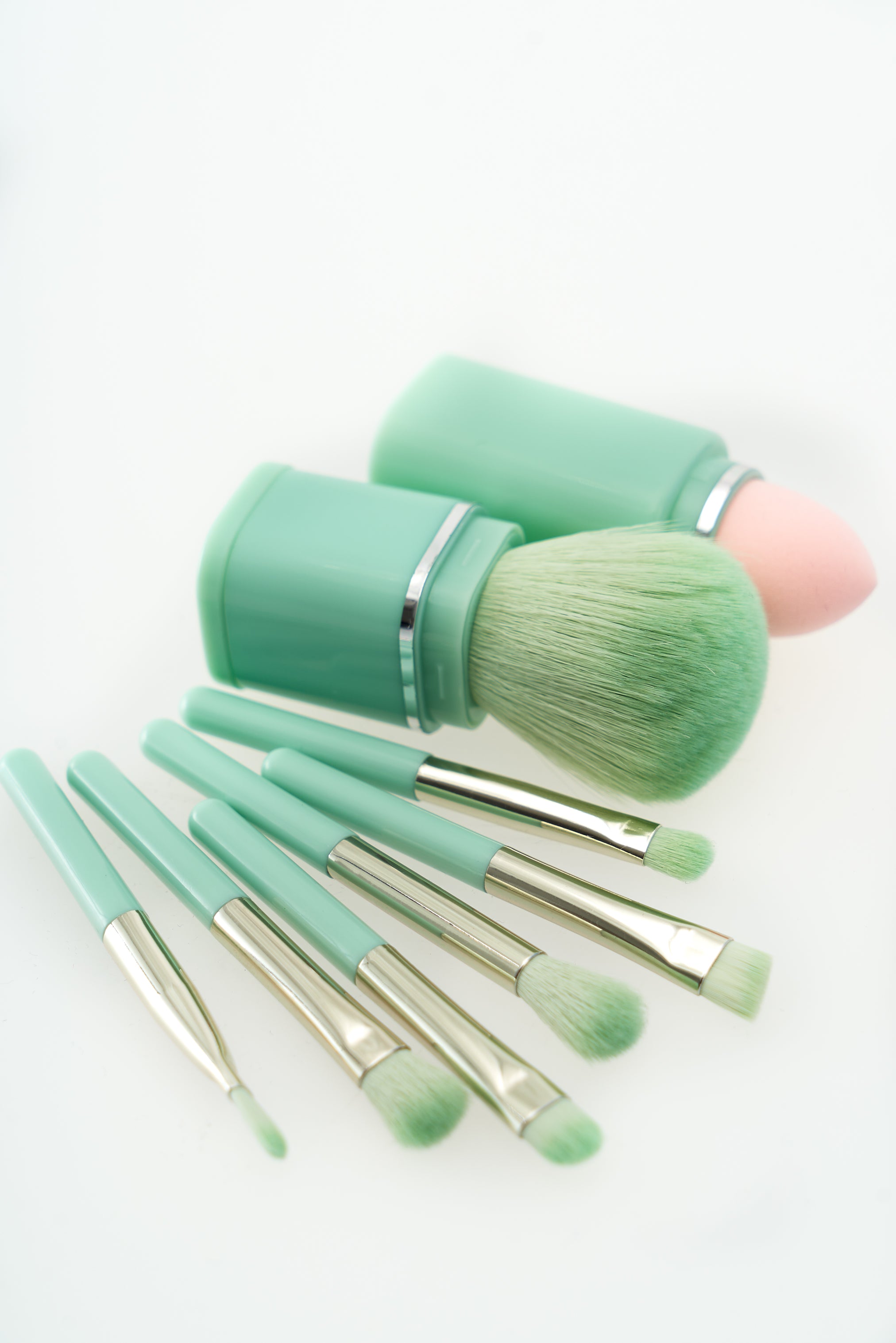 Set de pinceaux de maquillage avec étui (2 couleurs)