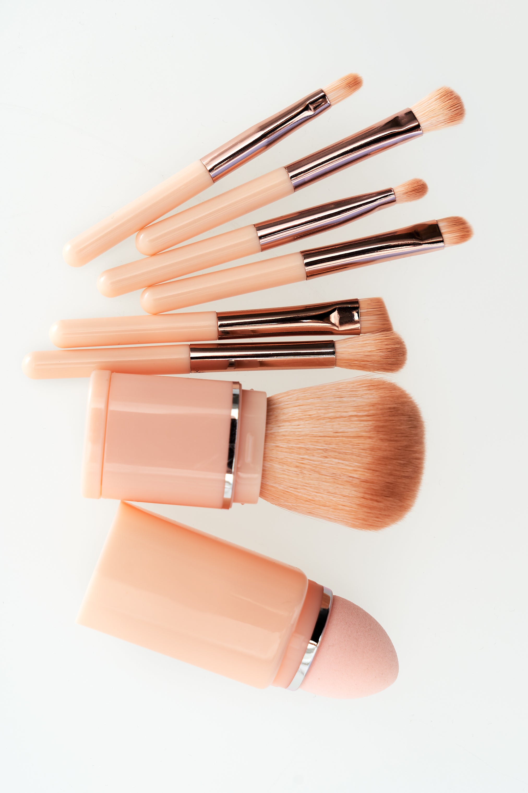 Set de pinceaux de maquillage avec étui (2 couleurs)